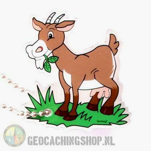 FarmtagZ - Geit