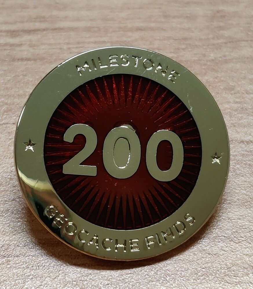 Milestone PIN-200finds met foutje