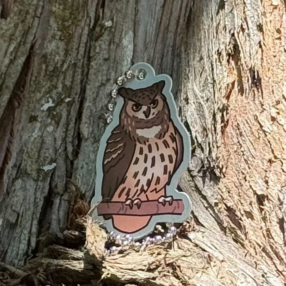 Woodland Creatures Travel Tag - Owl afbeelding 1