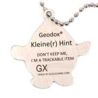 Kleine Hint Travel Tag