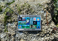 Blue Switch Travel Tag