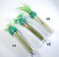 Gras petlingset V3