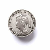 Dutch Geocoin 2014 - antiek zilver - RE