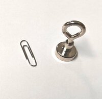 1st 16 mm Neodym Magneet met oog