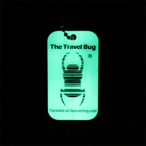 QR Travel Bug&reg; - Glow in the dark