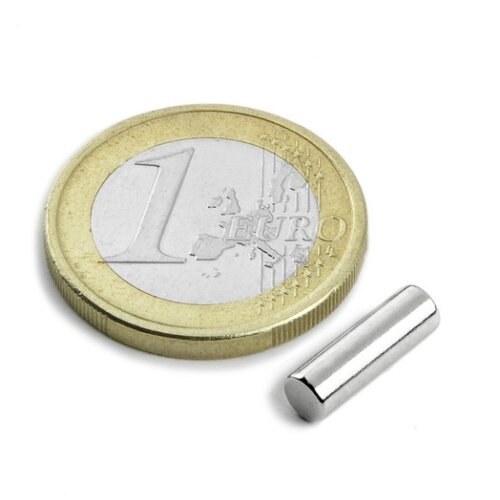 5 stuks 4 mm Round x 10 mm Neodym Magneten