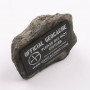 Fake Rock - zwart (incl micro container)