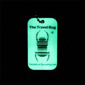 QR Travel Bug® - Glow in the dark