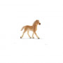 Trackable Animal - horse Haflinger foal