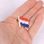 PIN vlag Niederlande