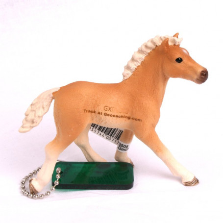 Trackable Animal - paard Haflinger veulen