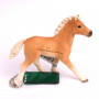 Trackable Animal - horse Haflinger foal